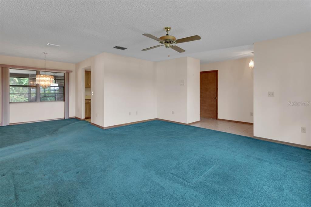 135 E IRIS DRIVE, ORANGE CITY, FL — photo 3 of 30