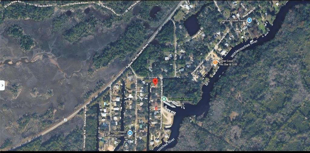 HICKORY AVENUE, YANKEETOWN, FL — photo 3 of 7