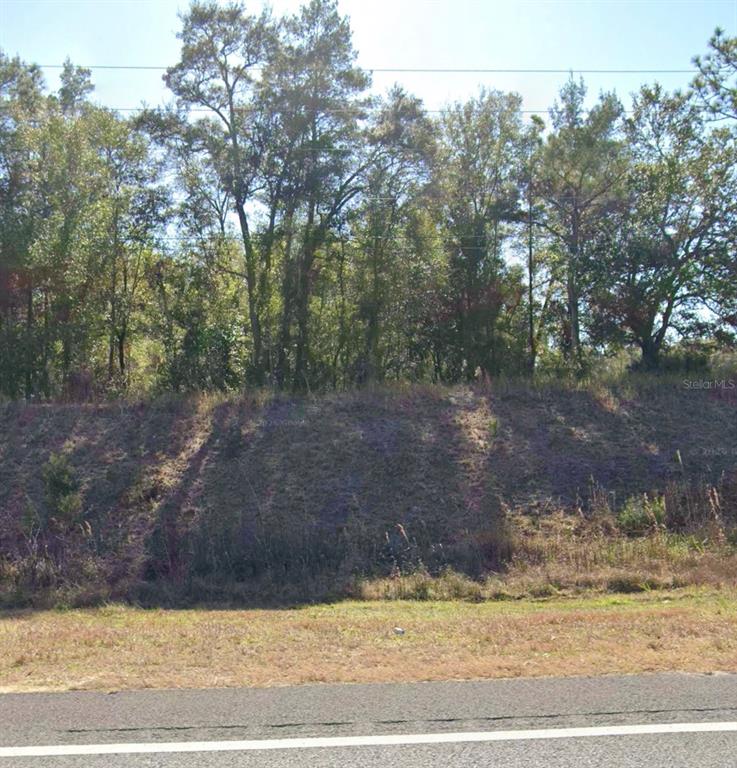 A grassy, sloped embankment rises from a roadside toward a dense line of trees — TBD NE HWY 27 ALT, BRONSON, FL