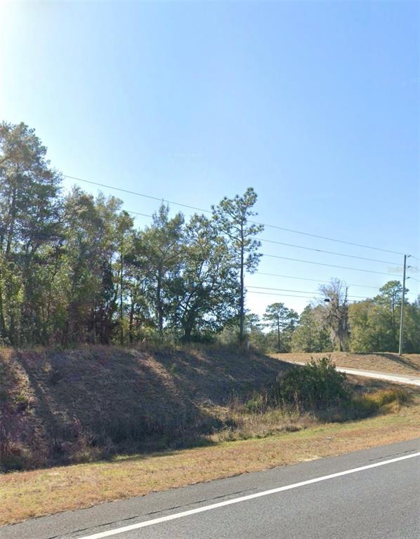 A grassy, sloped embankment rises from a roadside toward a line of trees and power lines — TBD NE HWY 27 ALT, BRONSON, FL