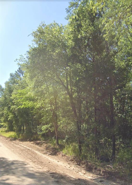A dirt road runs alongside a dense line of trees under a clear blue sky — TBD NE HWY 27 ALT, BRONSON, FL