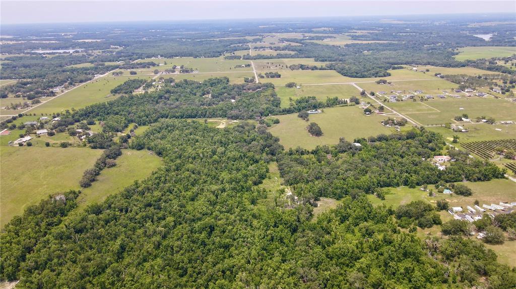 An aerial view shows a large expanse of forest surrounded by open fields and rural homes — 14409 CURLEY ROAD, DADE CITY, FL