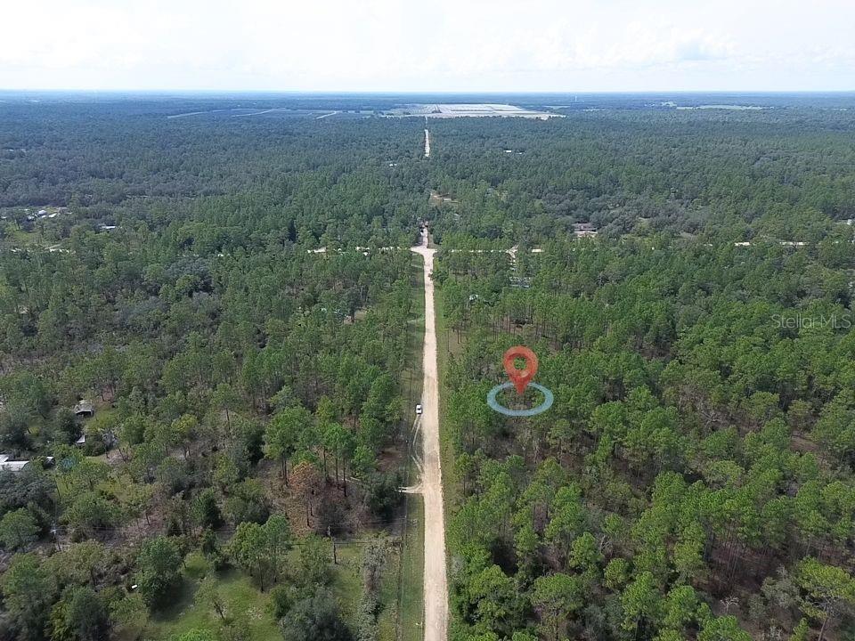 An aerial view shows a dirt road running through a dense, wooded forest — TBD NE 93RD TERRACE, ARCHER, FL