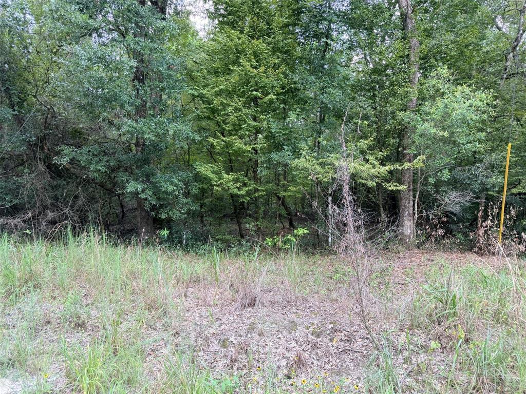 A view of a wooded lot with tall grass and a yellow survey marker — 0 NE 756 STREET, OLD TOWN, FL