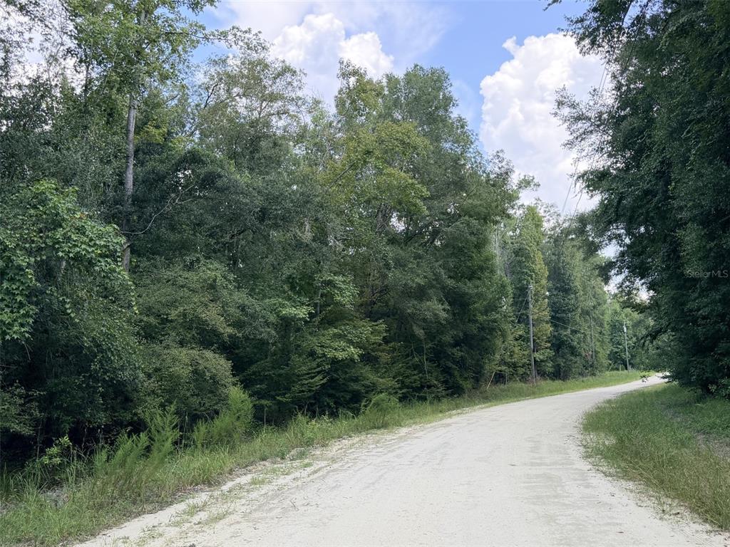 A dirt road runs alongside a dense forest under a partly cloudy sky — 0 NE 756 STREET, OLD TOWN, FL