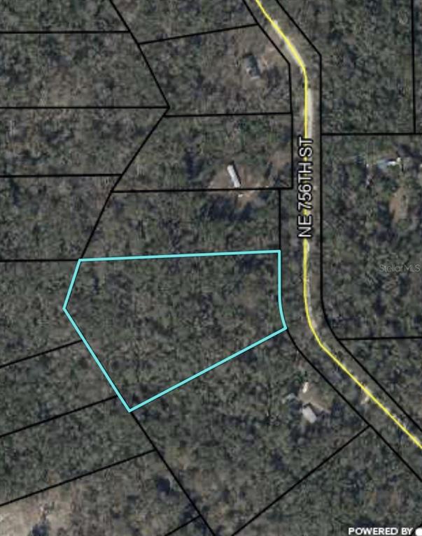 This is an aerial map showing a plot of land outlined in blue along a road — 0 NE 756 STREET, OLD TOWN, FL