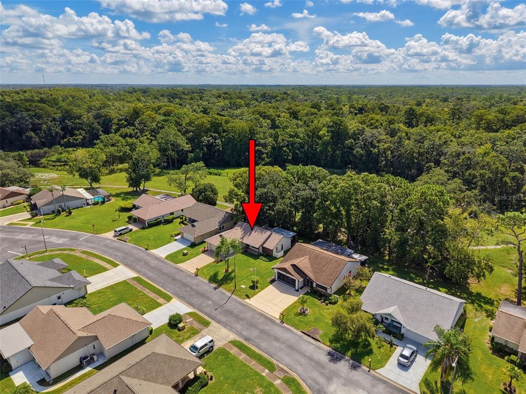 An aerial view shows a suburban neighborhood with a red arrow pointing to a house — 7308 BALTUSROL DRIVE, NEW PORT RICHEY, FL