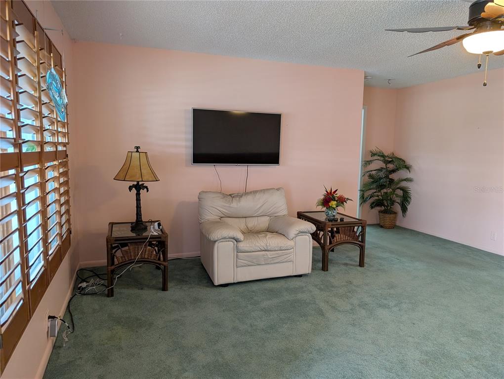 A living room features a white armchair, a wall-mounted television, and green carpeting — 9204 36TH WAY N UNIT 6, PINELLAS PARK, FL