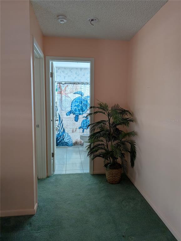 A hallway with green carpet leads to a bathroom featuring a sea-themed shower curtain — 9204 36TH WAY N UNIT 6, PINELLAS PARK, FL
