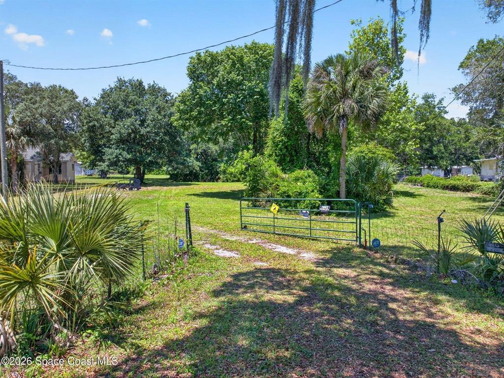 A green metal gate opens onto a grassy, tree-lined lot with a dirt driveway — 6700 US HIGHWAY 1, MIMS, FL