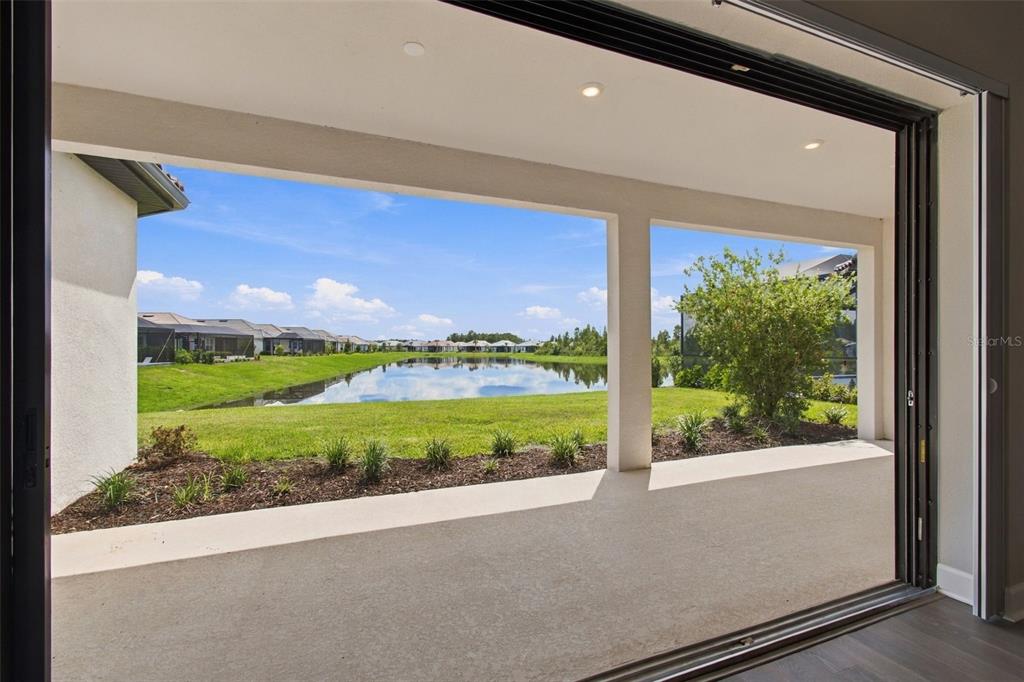 29596 TORICELLI ROAD, WESLEY CHAPEL, FL — photo 3 of 30
