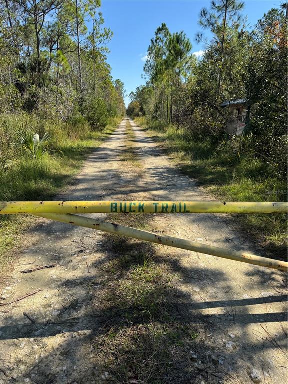 A yellow metal gate blocks a dirt path leading into a wooded area — TBD QUAIL ROAD, CEDAR KEY, FL
