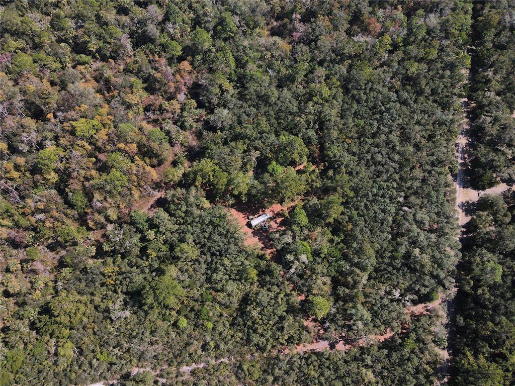 An aerial view shows a small structure situated in a clearing within a dense forest — TBD QUAIL ROAD, CEDAR KEY, FL