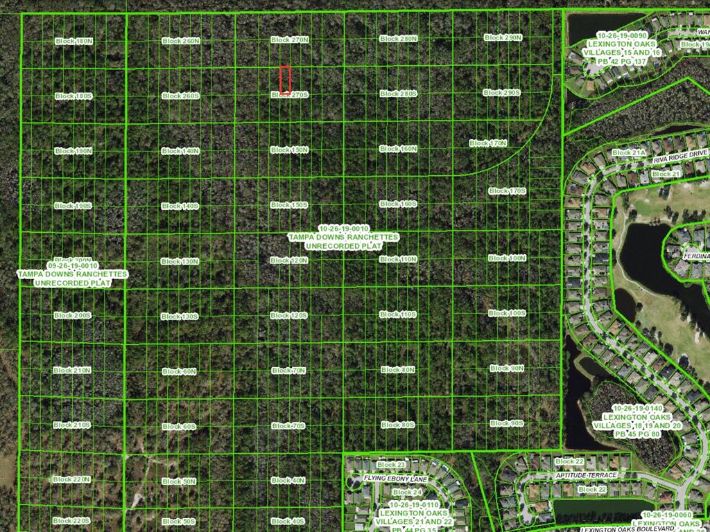 This is a map showing a grid of land parcels labeled with block numbers — UNASSIGNED, WESLEY CHAPEL, FL