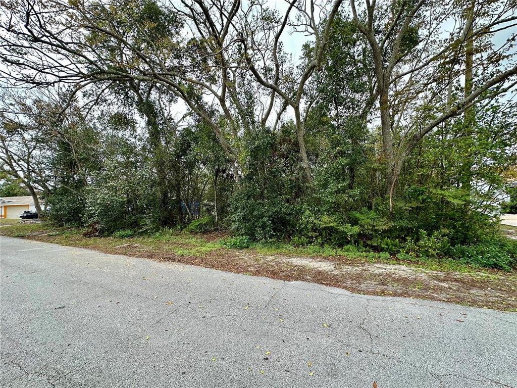 A paved road runs in front of a wooded, undeveloped residential lot — 761 ARLENE DRIVE, DELTONA, FL