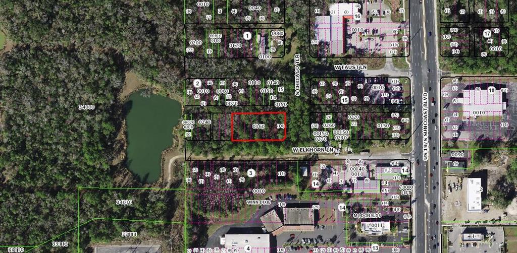 This is an aerial map showing a highlighted parcel of land near a commercial area — 8733 W ELKHORN DRIVE, HOMOSASSA, FL