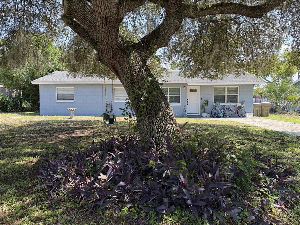 A single-story light blue house with a large tree and swing in the front yard — 4180 POINSETTIA AVENUE, MOUNT DORA, FL