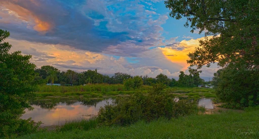 1907 LAKEWOOD DRIVE, CLEARWATER, FL — photo 2 of 30