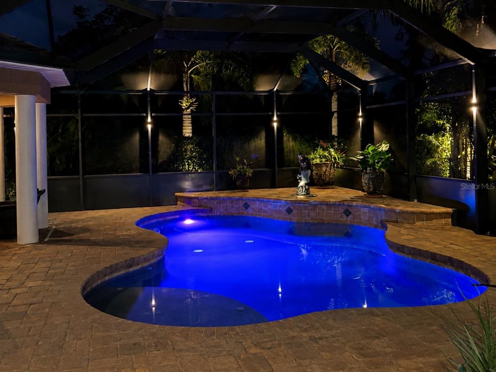 A lit swimming pool with a raised tiled spa sits inside a screened-in patio enclosure — 315 PETREL TRAIL, BRADENTON, FL