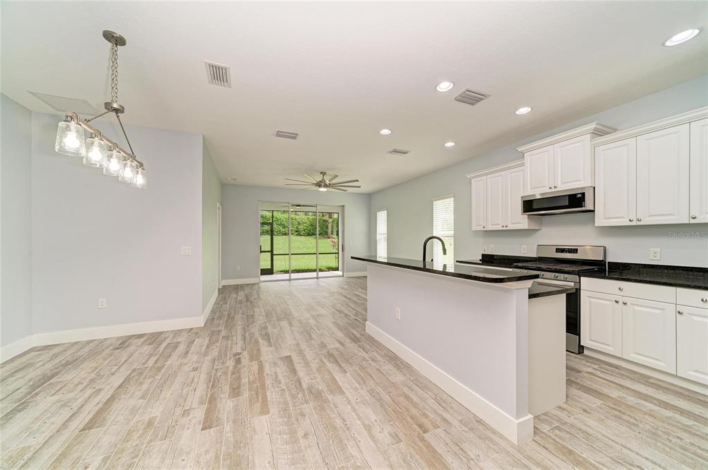 4158 DEEP CREEK TERRACE, PARRISH, FL — photo 4 of 30
