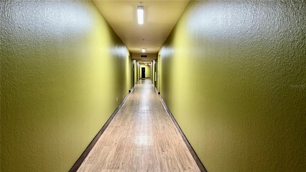 A long, narrow indoor hallway with light-colored wood flooring and olive green walls — 911 N ORANGE AVENUE UNIT 243, ORLANDO, FL