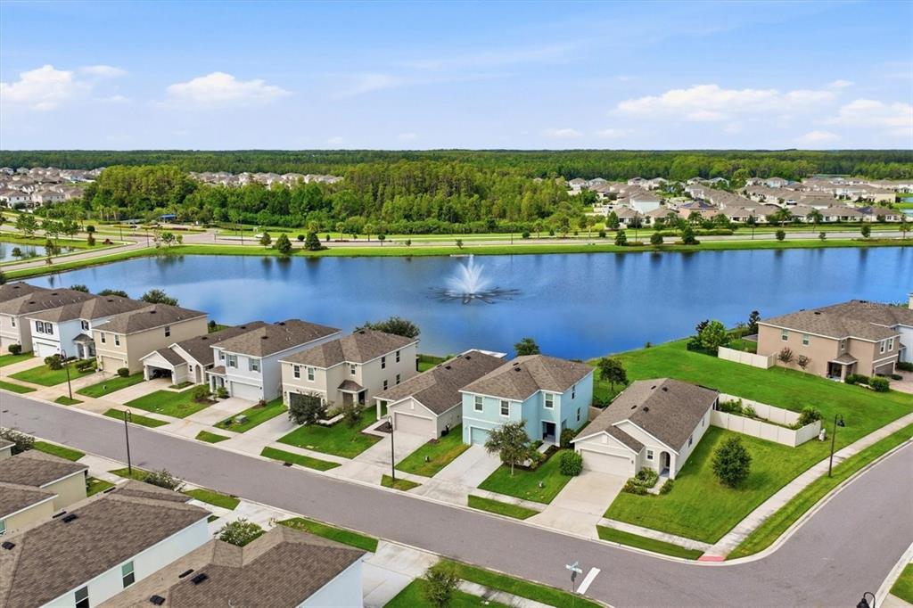 3119 SUNCOAST BLEND DRIVE, ODESSA, FL — photo 2 of 30