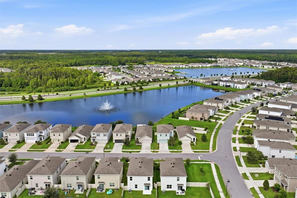 3119 SUNCOAST BLEND DRIVE, ODESSA, FL — photo 3 of 30