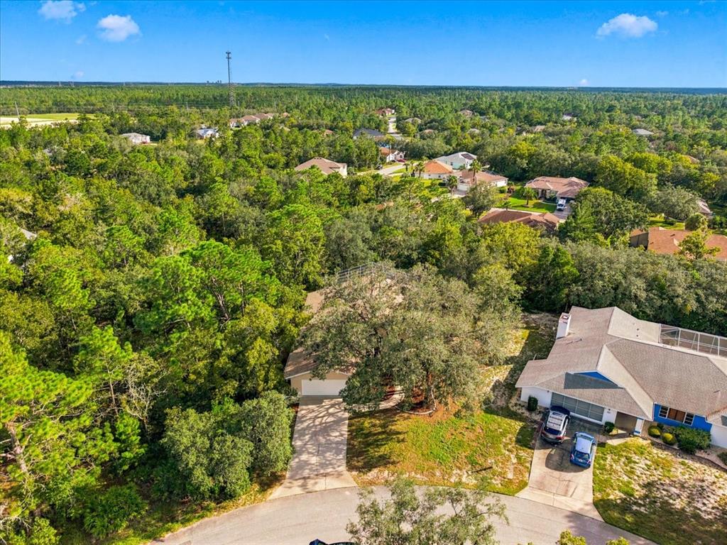 18 DAHLIA COURT S, HOMOSASSA, FL — photo 3 of 30