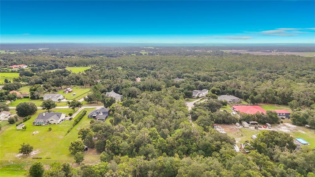 10623 LITHIA ESTATES DRIVE, LITHIA, FL — photo 2 of 17