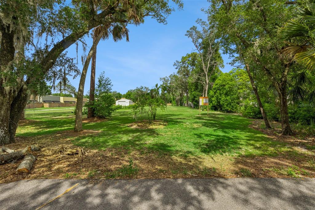 A grassy, tree-lined vacant lot viewed from a paved road — 136 N 9TH STREET, LAKE MARY, FL