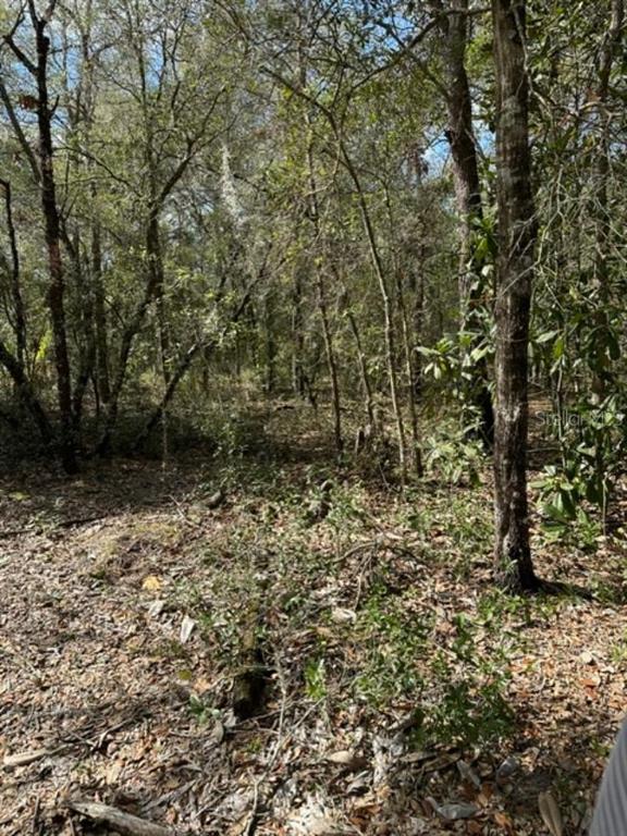 3348 E HESTER STREET, INVERNESS, FL — photo 5 of 14