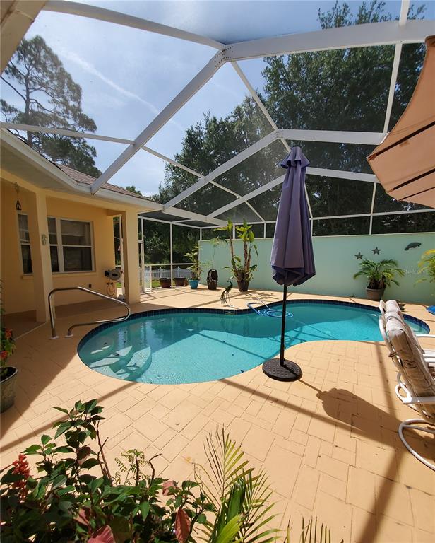 A screened-in patio features a kidney-shaped swimming pool, tan pavers, and potted tropical plants — 7517 JOMEL DRIVE, WEEKI WACHEE, FL