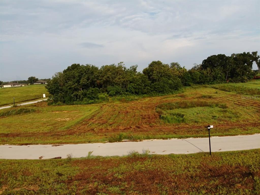 An aerial view shows a cleared, grassy residential lot adjacent to a paved road — WHITE EGRET DRIVE, THONOTOSASSA, FL