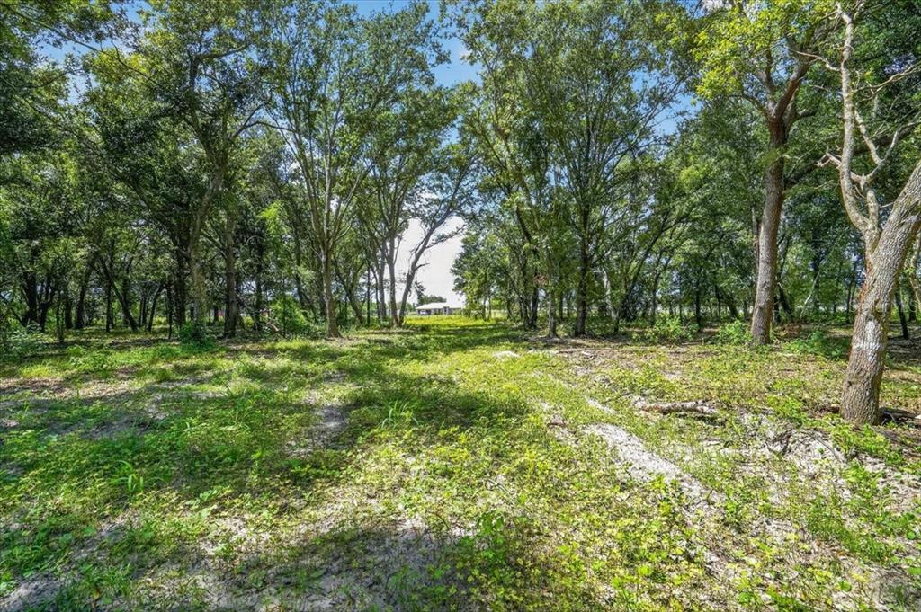 4415 VERNA BETHANY ROAD, MYAKKA CITY, FL — photo 5 of 10