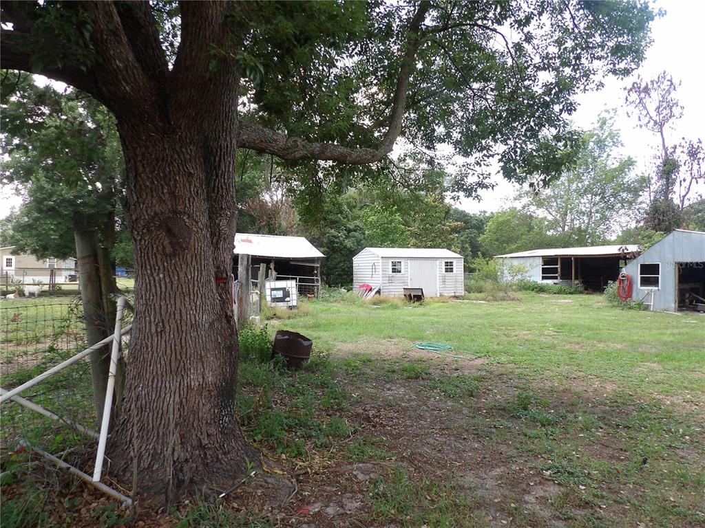 A large tree stands in the foreground of a grassy yard with several storage sheds — 18211 OAKLAWN, SPRING HILL, FL