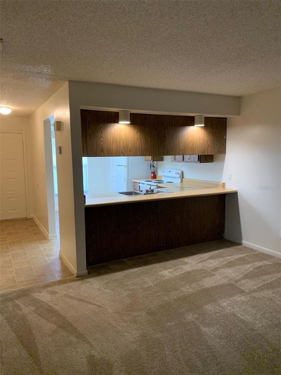 A carpeted living room opens to a kitchen with a wood-paneled breakfast bar and cabinets — 12125 NAPIERS CIRCLE, ORLANDO, FL