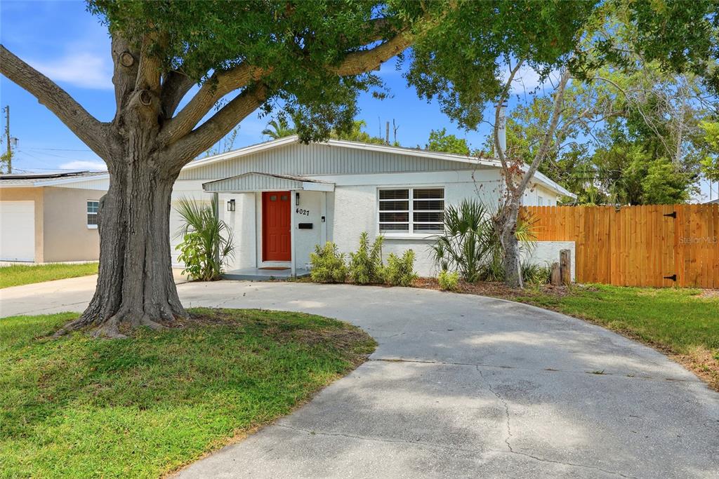 A single-story white house with a red front door and a large tree in front — 4027 HUNTINGTON STREET NE, ST PETERSBURG, FL