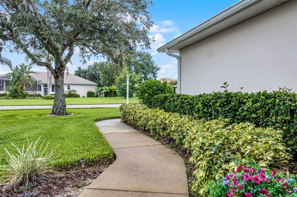 A concrete walkway leads past a manicured hedge toward a house exterior and large tree — 27111 NOSTALGIA DRIVE, LEESBURG, FL