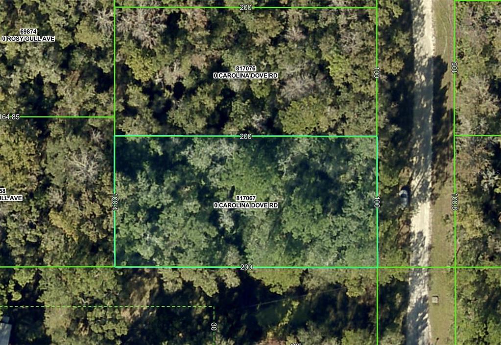 Lot 3 CAROLINA DOVE ROAD