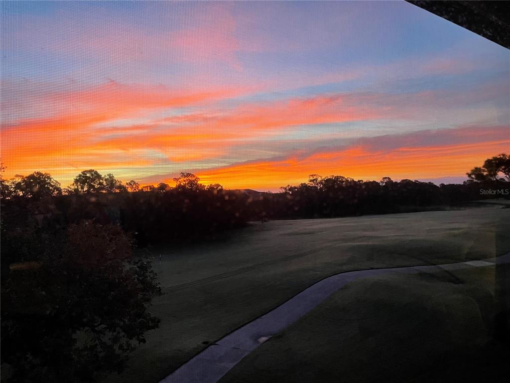 A view of a golf course fairway at sunrise through a window screen — 8735 OLDE HICKORY AVENUE UNIT 8304, SARASOTA, FL