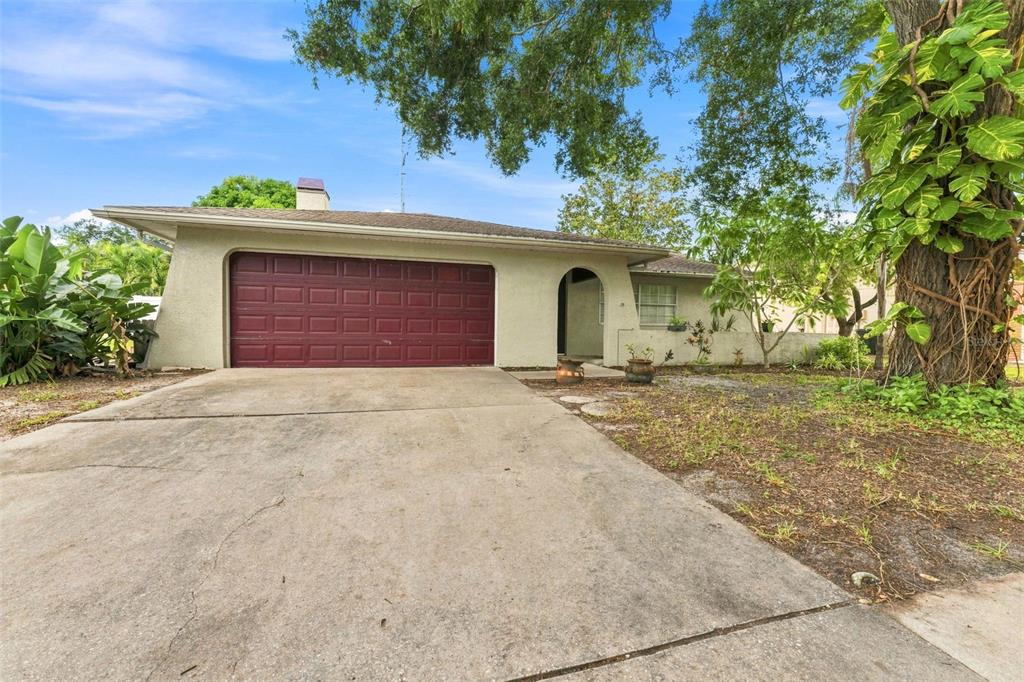 A single-story house with a red garage door, concrete driveway, and large tree in front — 2202 CITRUS HILL LANE, PALM HARBOR, FL