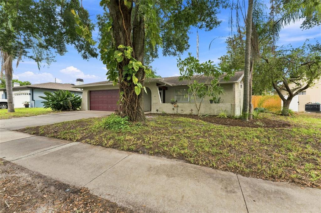 A single-story house exterior features a maroon garage door, a covered entryway, and stucco walls — 2202 CITRUS HILL LANE, PALM HARBOR, FL
