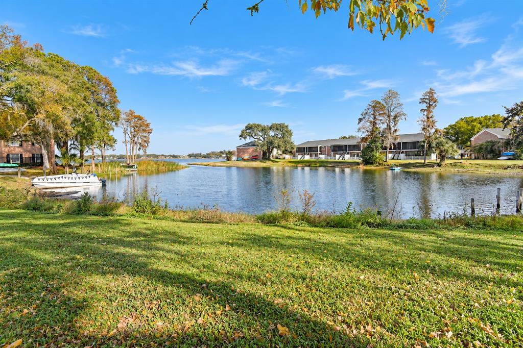 13741 JUNIPER BLOSSOM DRIVE, TAMPA, FL — photo 2 of 28
