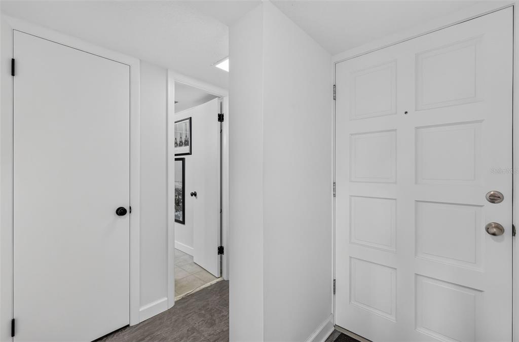 A white interior hallway features a front door, two closed doors, and wood-look flooring — 101 N GRANDVIEW STREET UNIT 412, MOUNT DORA, FL