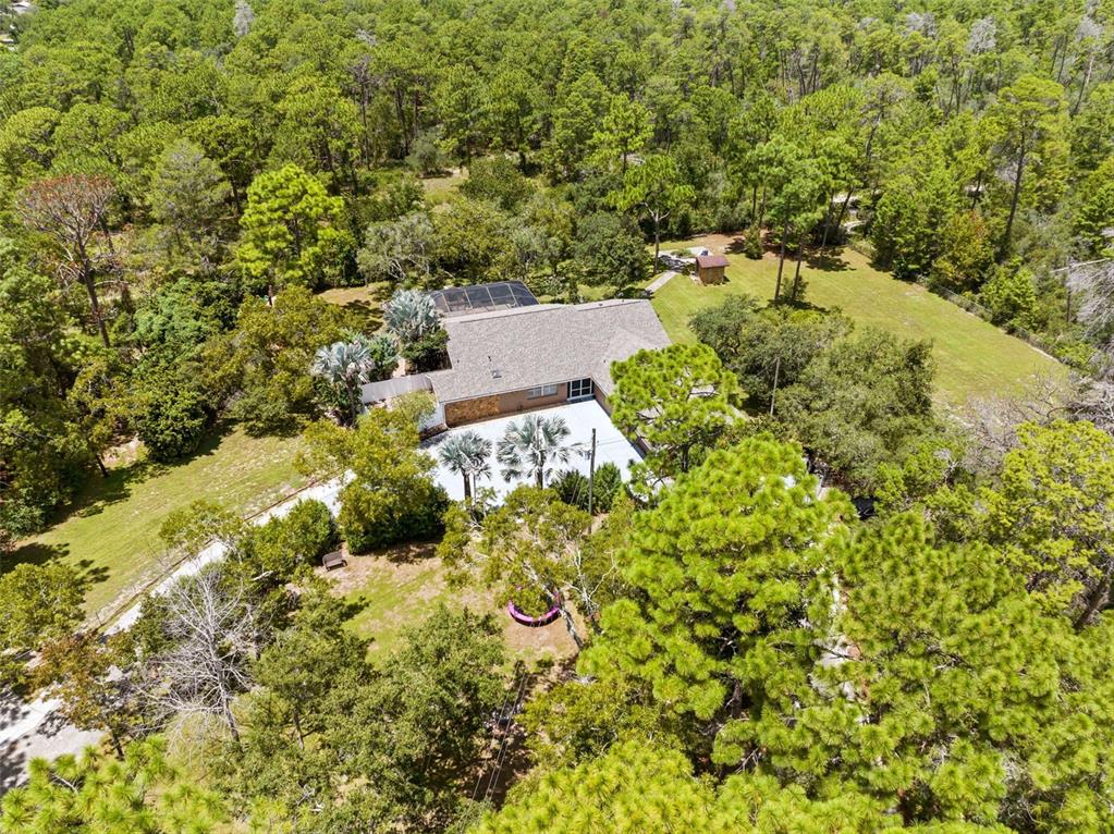 12348 TALPA STREET, SPRING HILL, FL — photo 3 of 30