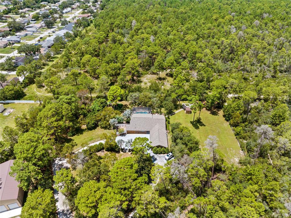 12348 TALPA STREET, SPRING HILL, FL — photo 4 of 30