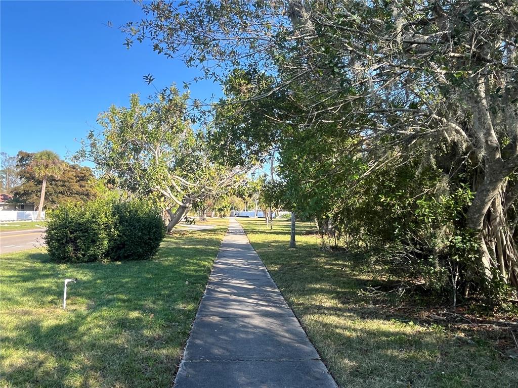 A concrete sidewalk stretches through a grassy area lined with trees under a clear sky — 2470 RINGLING BOULEVARD, SARASOTA, FL