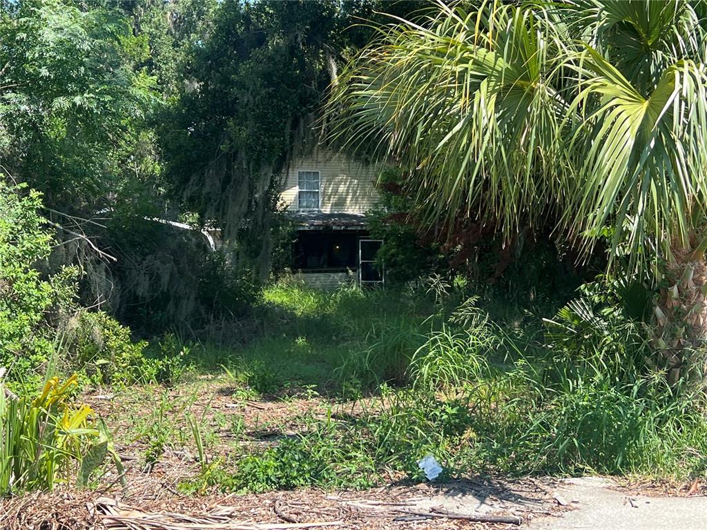 A weathered, two-story house is partially obscured by dense overgrown vegetation and large trees — 2979 S GROVE STREET, EUSTIS, FL