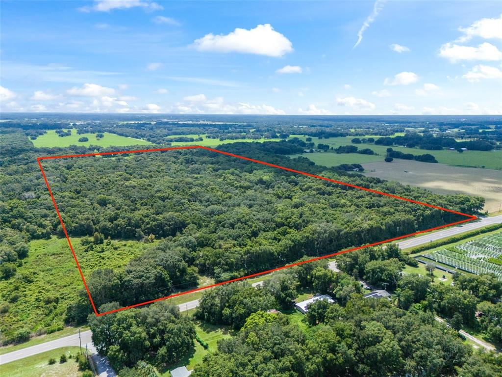An aerial view shows a large, rectangular plot of wooded land outlined in red — 3448 CR 567, CENTER HILL, FL