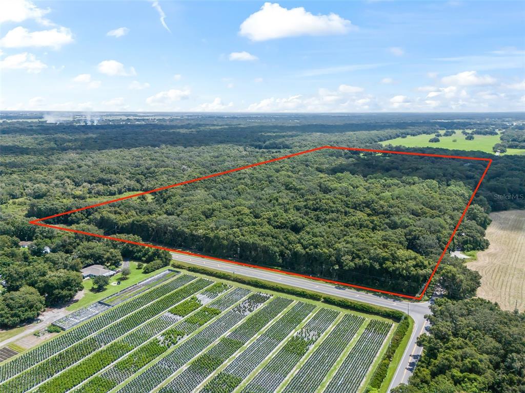 An aerial view shows a large, rectangular wooded lot outlined in red next to a nursery — 3448 CR 567, CENTER HILL, FL